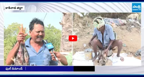 Kosa Mamsam Special at Sankranthi Kodi Pandalu 1