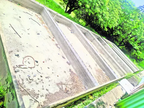 నలుసైపోయావే..చేప 