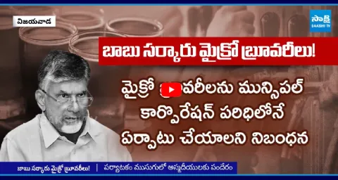 Chandrababu Gives Green Signal To Micro Brewery Companies In AP  1