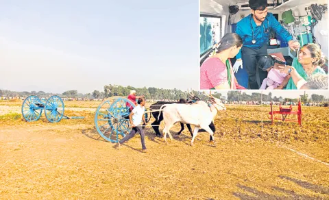 vizianagaram horse and bull race goes wrong four injured