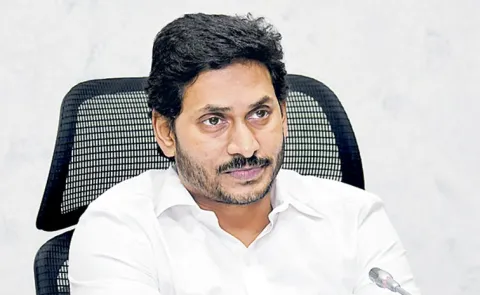YS Jagan Fires On CM Chandrababu Over Activist Salman Incident