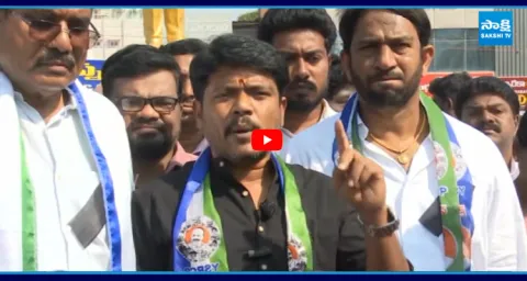 YSRCP Leaders Fires on CM Chandrababu On Pinnelli Salman Incident 1