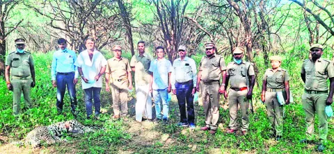 అనుమానాస్పదంగా చిరుత మృతి 