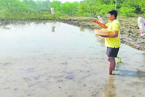 లాభాలు మెరుగు