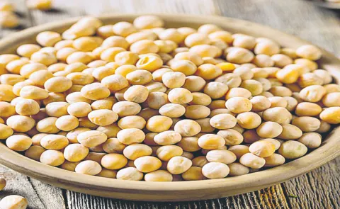 India Retaliatory Tariffs on US Imports