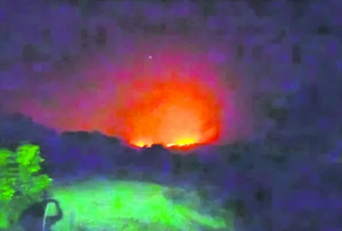 అడవుల సంరక్షణకు చర్యలేవీ? 