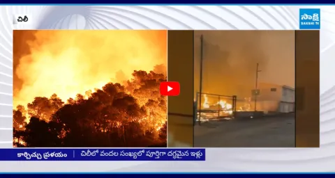 Massive Wildfire Spread Rapidly In Southern France  1