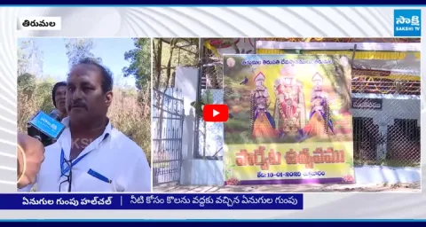  Elephants Hulchal at Tirumala 2