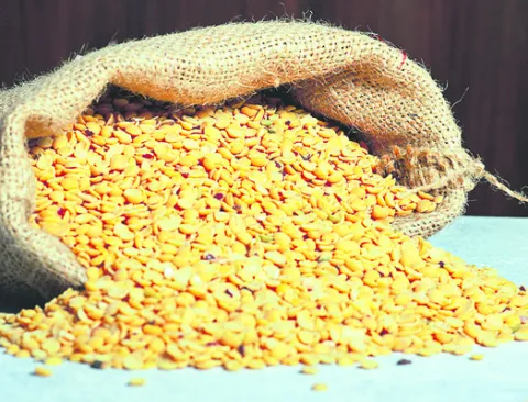 3 కంది కొనుగోలు కేంద్రాలు