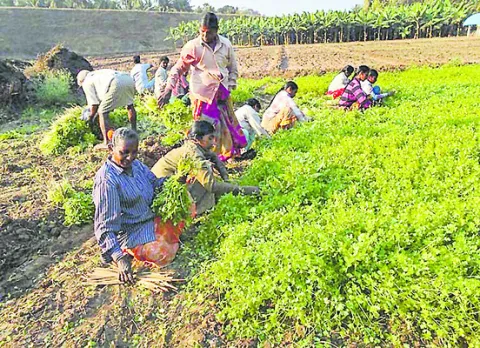 ఇదేంధర బాబూ!