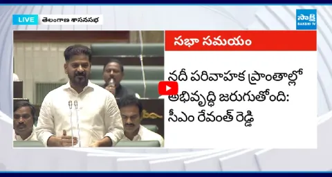 CM Revanth Reddy Speech In Telangana Assembly About Musi River 1