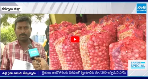 Chandrababu Govt Conspiracy On Onion Farmers  1