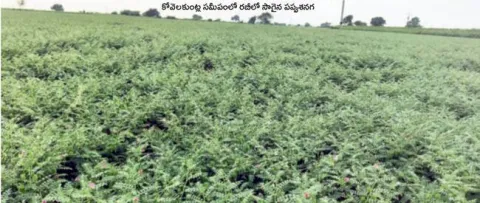 నిర్లక్ష్యం శాపమై.. బీమా దూరమై 