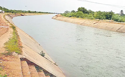 Irrigation area cultivation during Congress regime was negligible