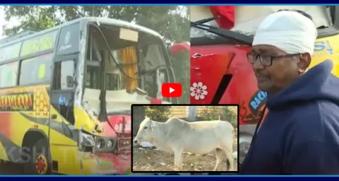 Three Buses Accident Near Diwan Cheruvu In Rajahmundry 1