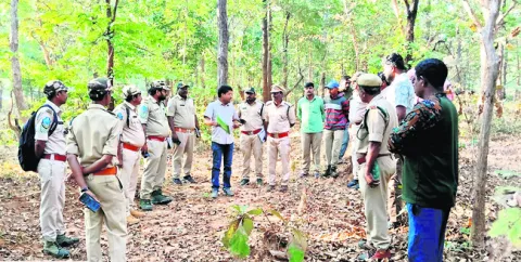 పులుల గణన ప్రారంభం