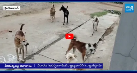 Supreme Court Sensational Orders on Stray Dog Attacks 1