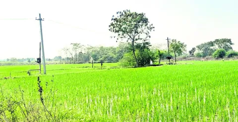 రీ సర్వేతో భూ సమస్యలకు చెక్‌