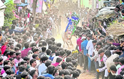 కాలుదువ్వి..రంకెలేసి! 