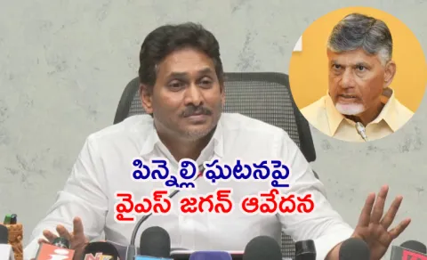 Jagan Strong Reaction Pinnelli Incident Other TDP Atrocities