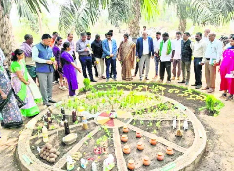 ప్రకృతి సాగుపై కేంద్ర బృందం అధ్యయనం 