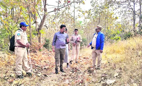 జంతు గణనను పరిశీలించిన డీఎఫ్‌వో