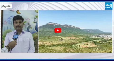 Tiger Spotted in Nellore Udayagiri Forest Officials Warn Locals 2