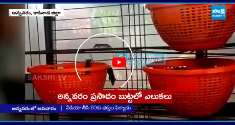 Rats Found In Prasadam Basket At Annavaram Temple  1