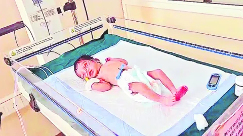 పొదల్లో శిశువు లభ్యం 