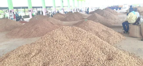 వేరుశనగకు రికార్డు ధర 