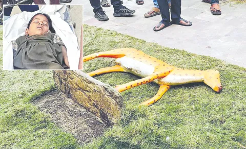 7 year old girl ends life in polavaram