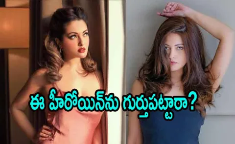 Riya Sen 45th Birthday: Know About Actress Movies