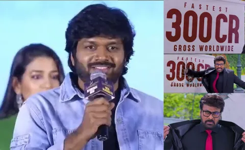 Anil ravipudi Comments on Mana shankaravaraprasad garu collections