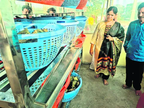 నిర్లక్ష్యం వల్లే ఎలుకల పరుగులు 