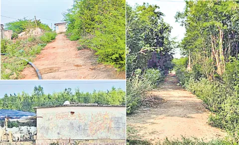 rural migration farming crisis palnadu