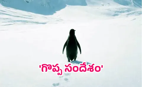 Why A Lone Nihilist Penguins 2007 Clip Going Viral In 2026