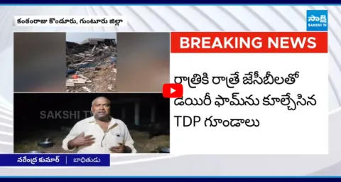 TDP Rowdies Forcibly Demolished Dairy Farm In Mangalagiri 1