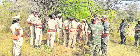 వన్యప్రాణుల గణన