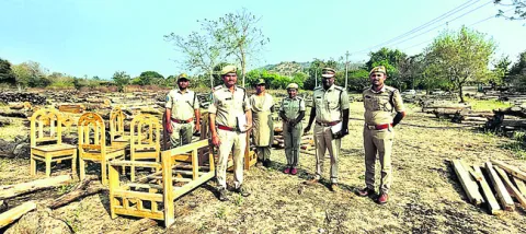 కలప పట్టివేత