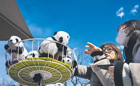 Japan returns last 2 pandas to China amid strained ties