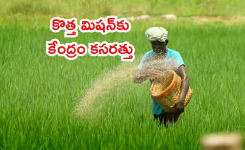 Govt preparing Fertilizer Mission to reduce import dependence