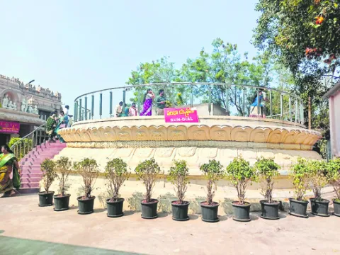 నిర్లక్ష్యపు నీడలో...