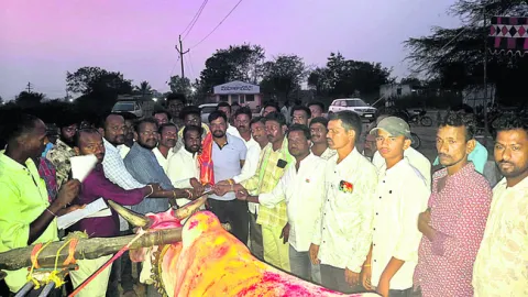 మిట్టపల్లిలో ఎడ్ల పందెం పోటీలు