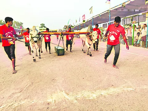 హోరాహోరీగా ఎడ్ల బలప్రదర్శన పోటీలు 