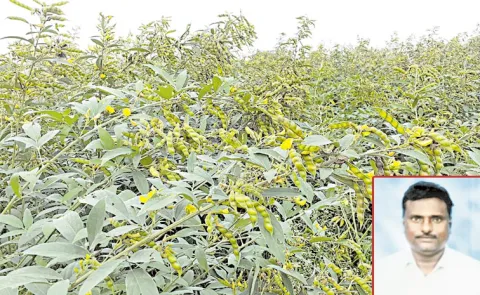 Chandrababu Govt Fails to Supporting Farmers