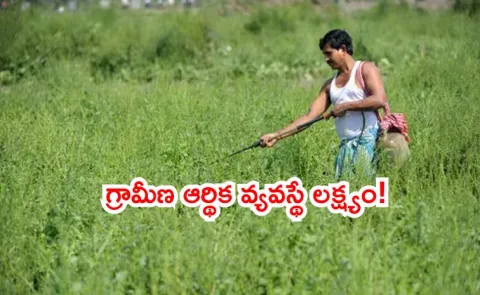 PMO Key Directives for Agriculture in Budget 2026