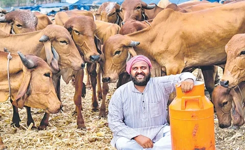 Climate change is a threat to dairy farmers
