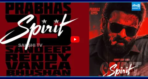 Sandeep Reddy Vanga Movie Lineup Upto 2030 1