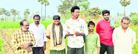 కల్తీ విత్తనాలతో నష్టం 