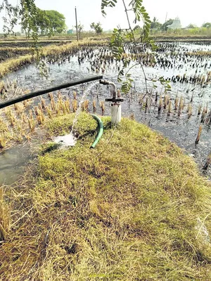 బోర్లెన్ని.. వ్యవసాయ బావులెన్ని?